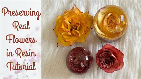 Can You Preserve Flowers in Resin? And Why Would You Want to Turn Time into a Paperweight?