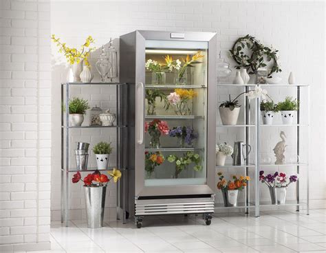 Do You Put Flowers in the Fridge, or Do You Prefer to Let Them Dance in the Moonlight?