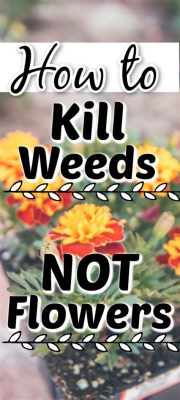 Does Weed and Grass Killer Kill Flowers? Exploring the Unlikely Connection Between Herbicides and Floral Survival