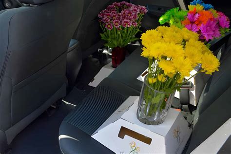 How Long Can Flowers Go Without Water in a Car: A Journey Through Time and Imagination